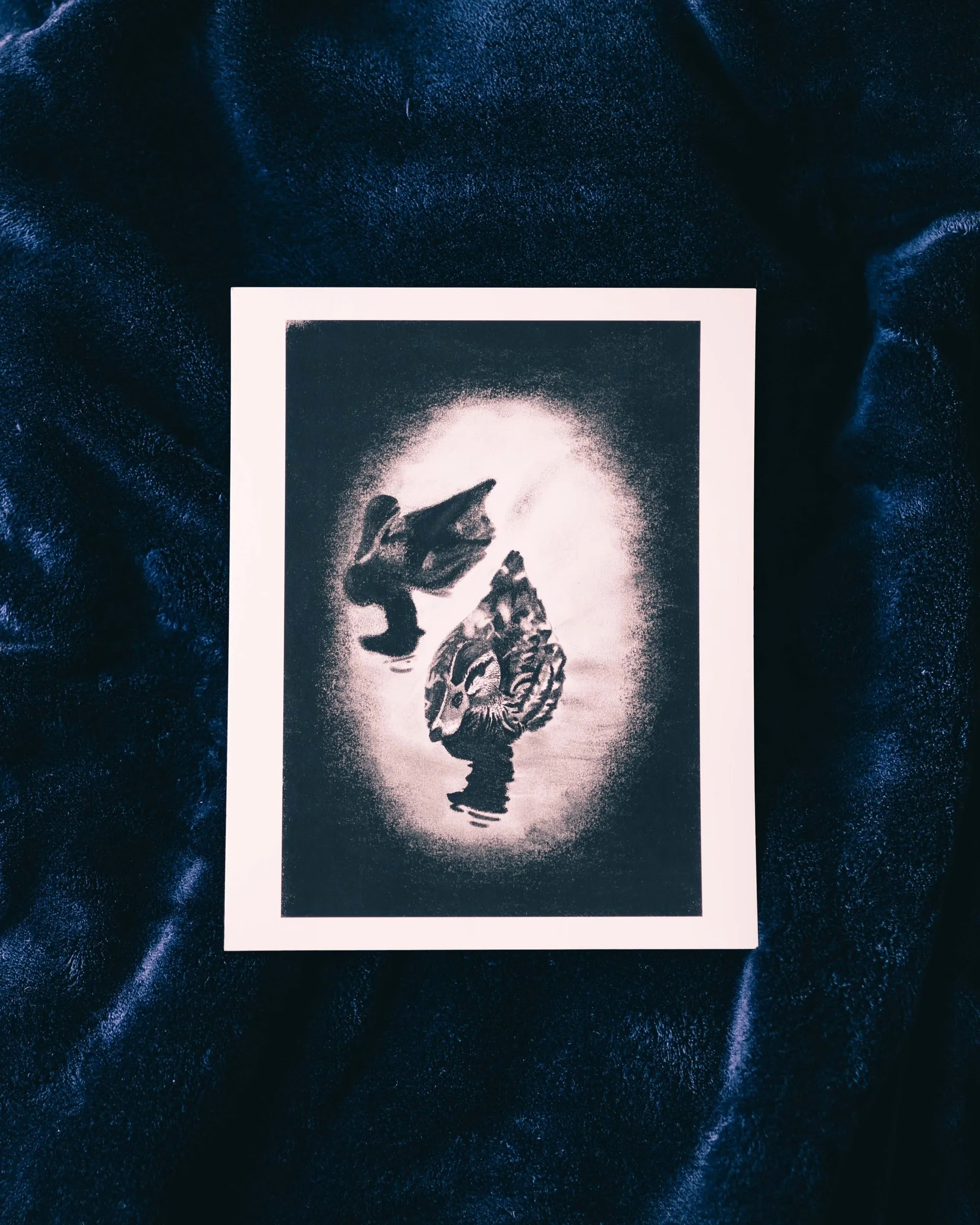 Baby Ducks, charcoal drawing by Simone Liberty