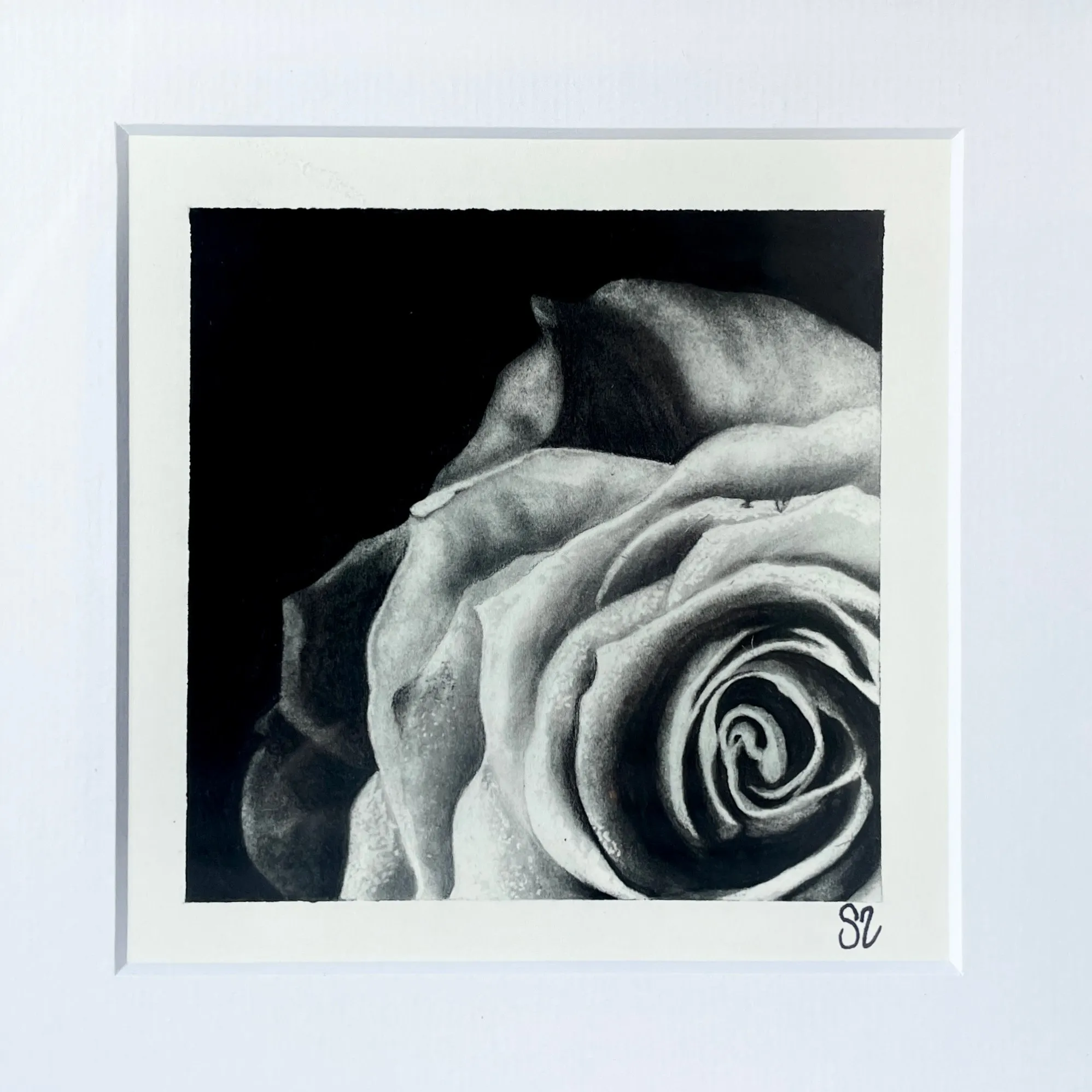 Patina, charcoal drawing by Simone Liberty